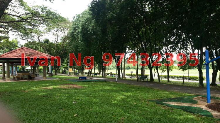 Blk 405 Pandan Gardens (Jurong East), HDB 5 Rooms #132721612